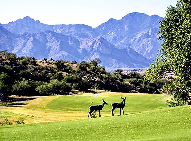 Nature on the course